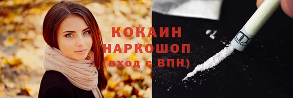 гашик Алзамай