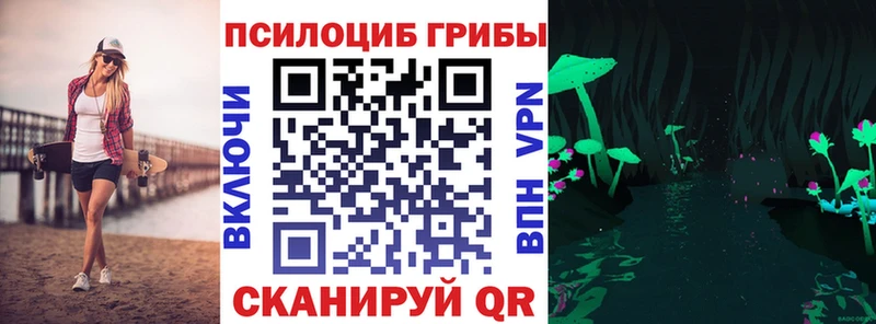 Псилоцибиновые грибы мухоморы  купить наркотик  МЕГА ТОР  Йошкар-Ола 